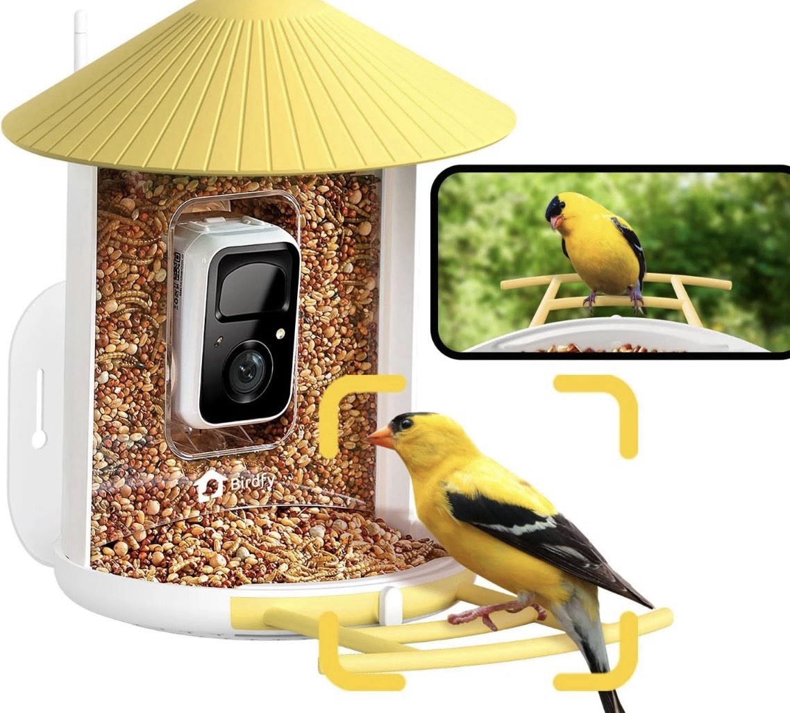 NETVUE by Birdfy Smart Bird Feeder with Camera Bird Watching Camera Auto Capture NETVUE by Birdfy Smart Bird Feeder with Camera Bird Watching Camera Auto Capture