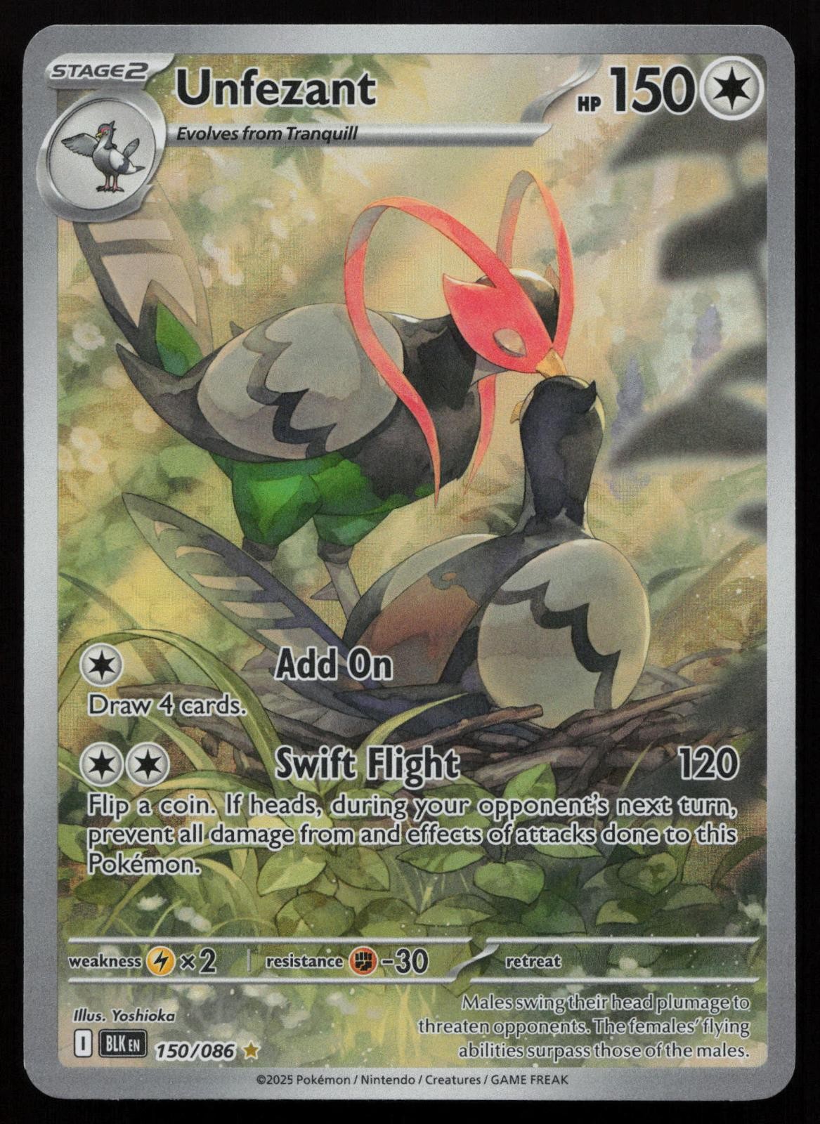 Unfezant 150/086 Holo Illustration Rare Black Bolt Pokemon English NM