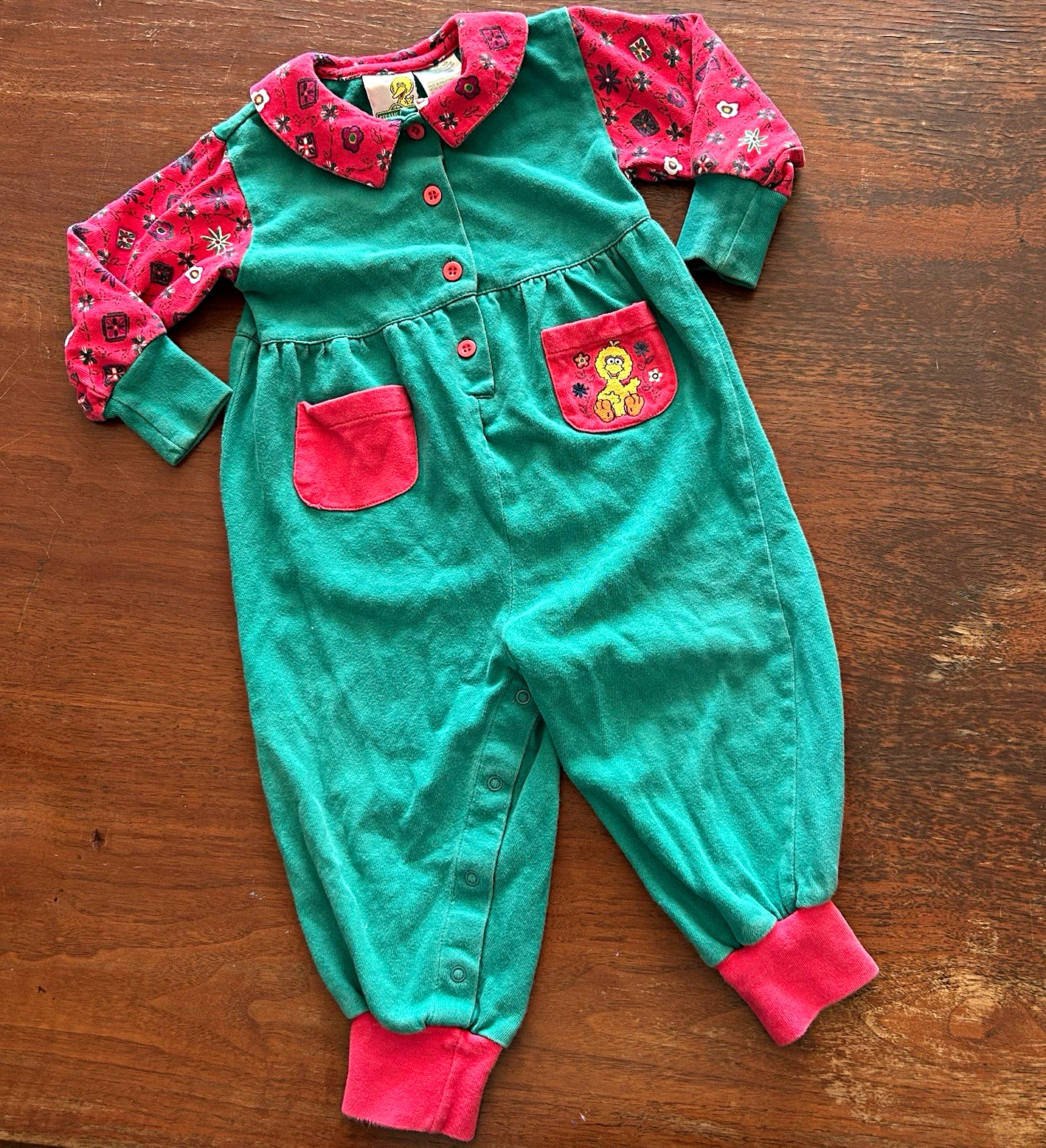Vintage Sesame Street Big Bird Floral Long Sleeve One-Piece Coverall 24M