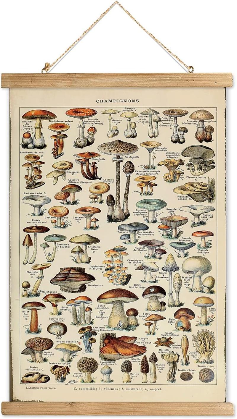 Vintage Mushroom Poster with Wooden Frame - Classic Botanical Print with Variety