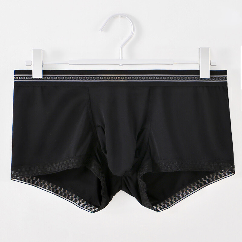 2 Pairs Men\'s Underwear Boxer Briefs Ice Silk Cool Pouch Elephant Nose Trunks