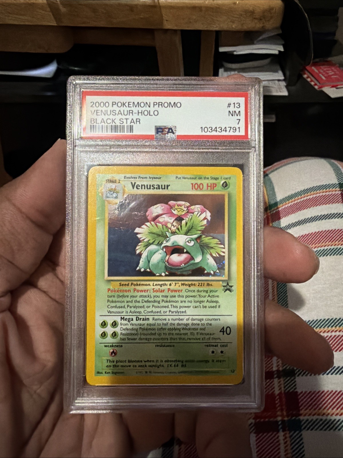 Venusaur 13/53 Wotc Promo Holo Venusaur 13/53 Wotc Promo Holo