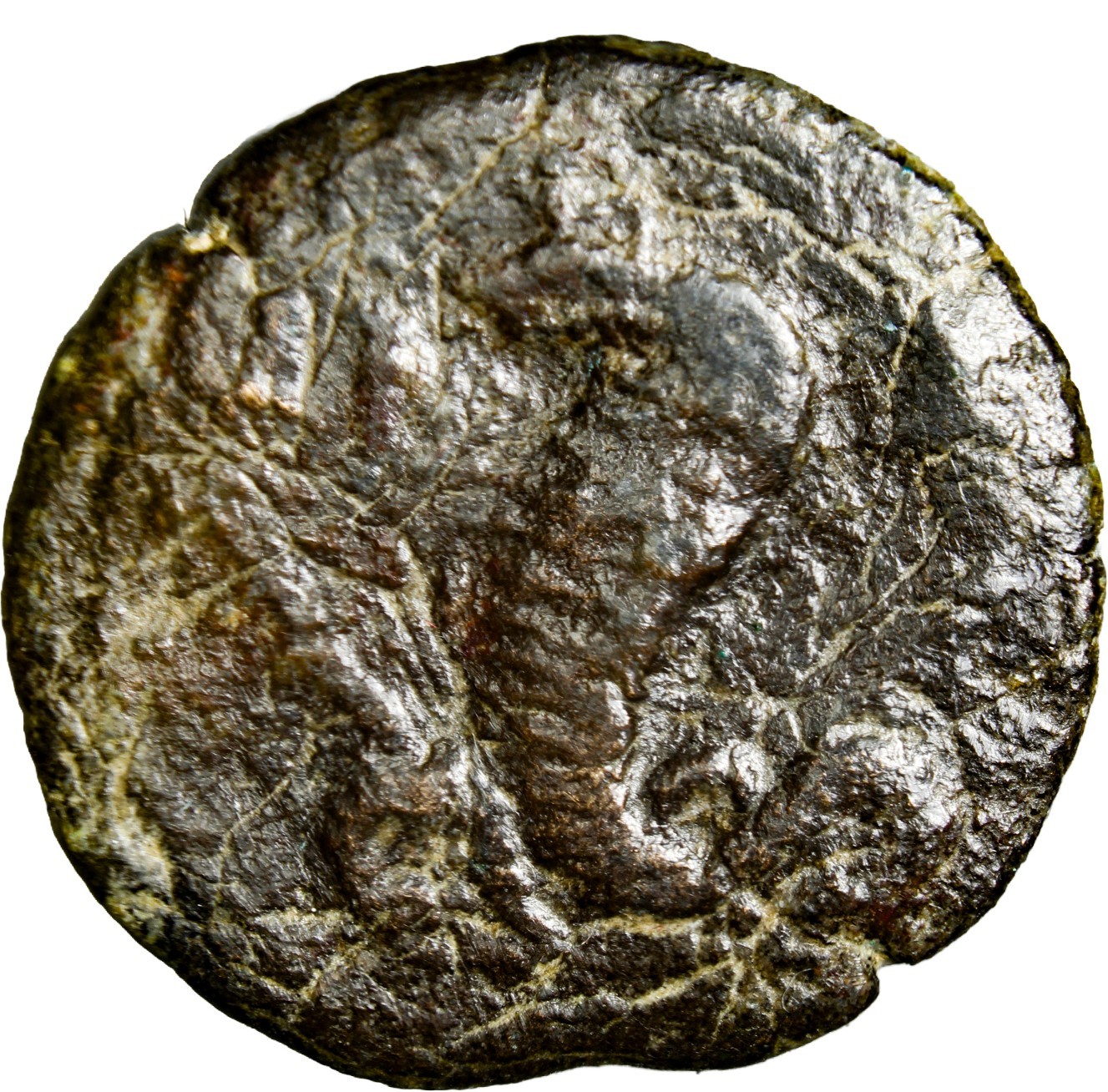 VERY RARE Trajan Æ Diobol of Alexandria, Egypt. Dated RY 11 Serpent Snake Coin