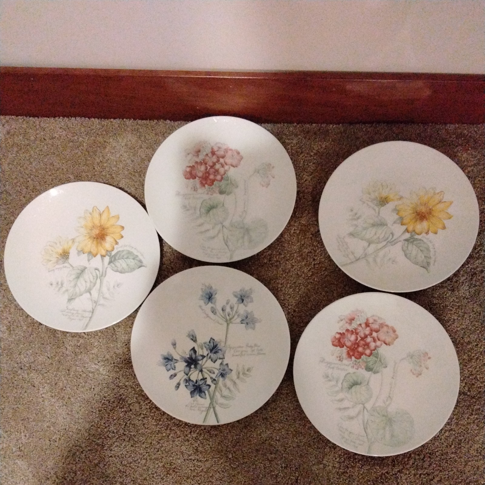 Lenox Artist Sketchbook Dinner Plates, Lot Of 5 Plates Lenox Artist Sketchbook Dinner Plates, Lot Of 5 Plates