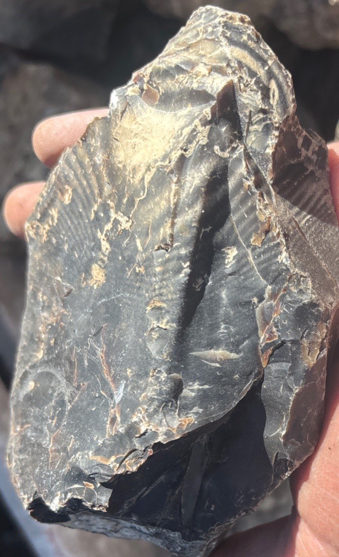 10 Pounds Wyoming Chert Flint Knapping Flintknapping Material Arrowheads