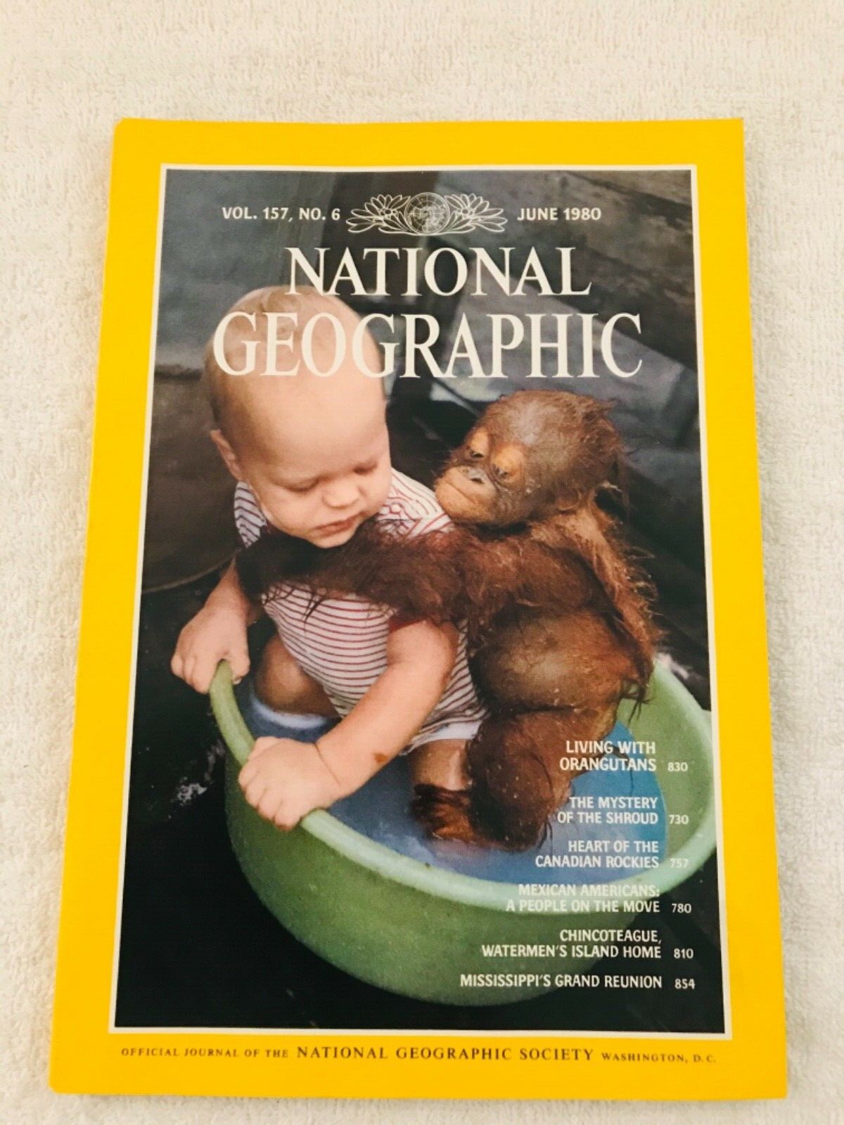 National Geographic June 1980 Orangutan(Ape) Shroud Canadian Rockies Mississippi National Geographic June 1980 Orangutan(Ape) Shroud Canadian Rockies Mississippi
