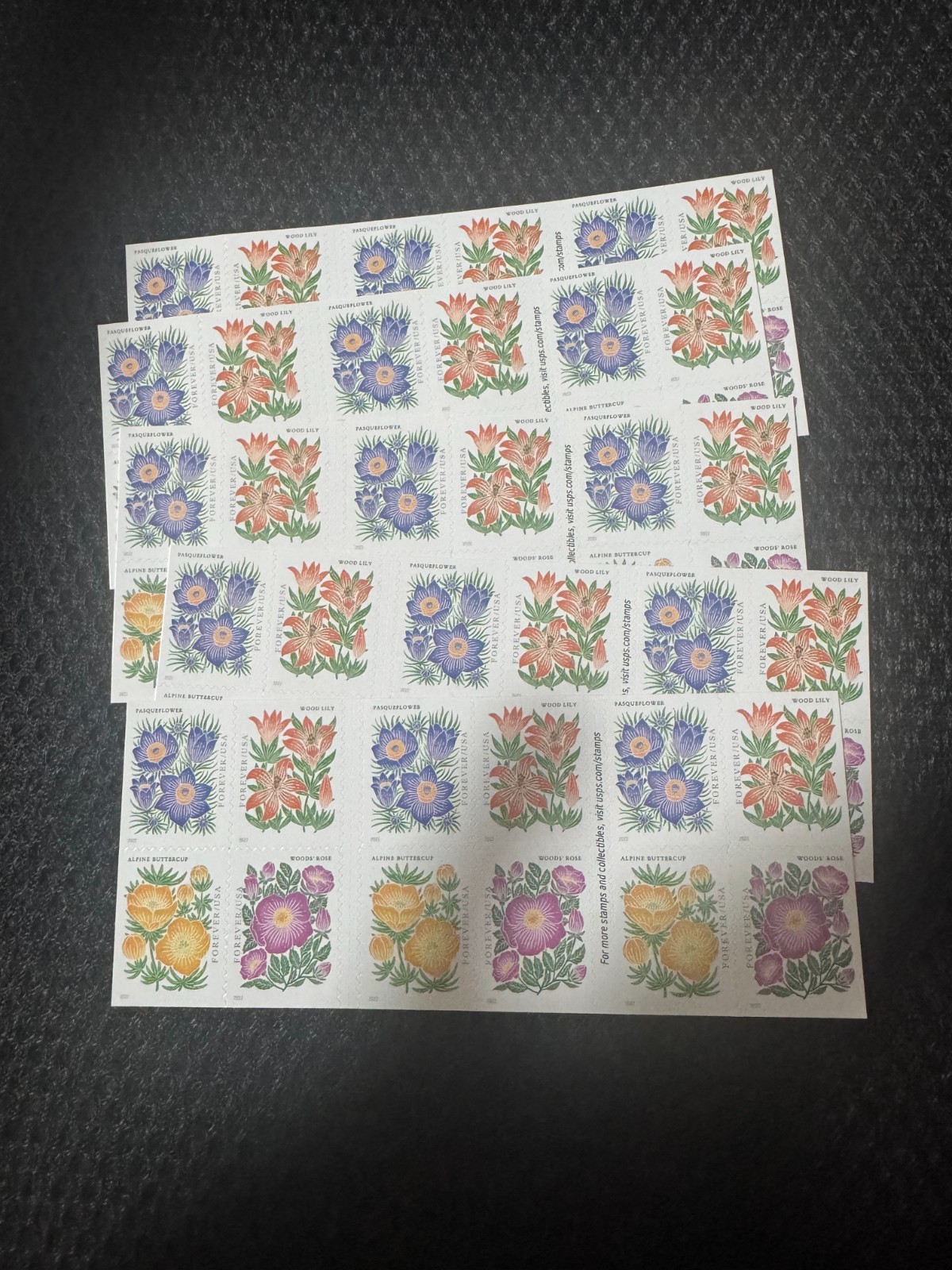 2022 Mountain Plants Stamps — 5 large sheets totaling 100 stamps.