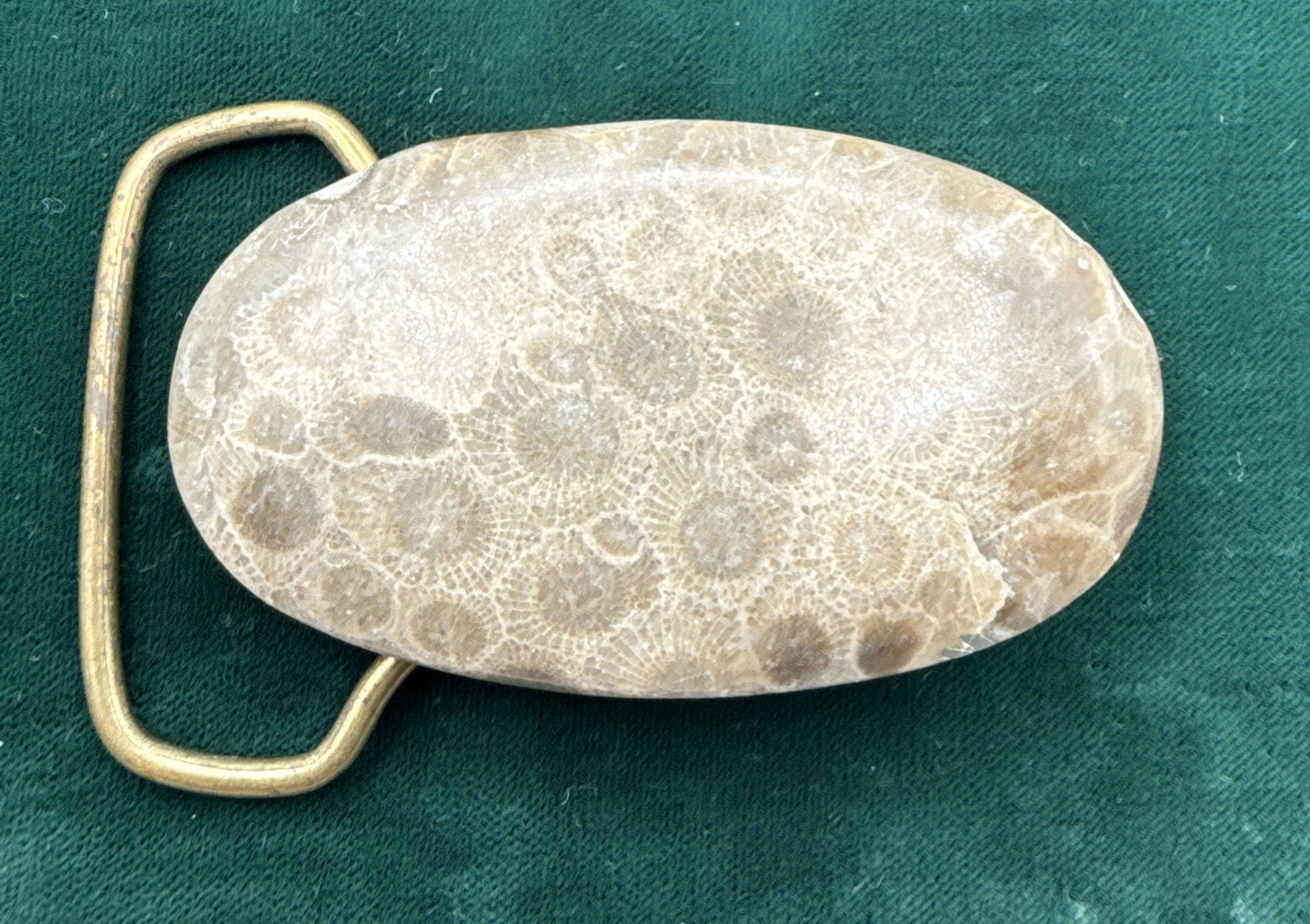 Vtg. MCM Polished Oval Petosky Stone Belt Buckle Vtg. MCM Polished Oval Petosky Stone Belt Buckle