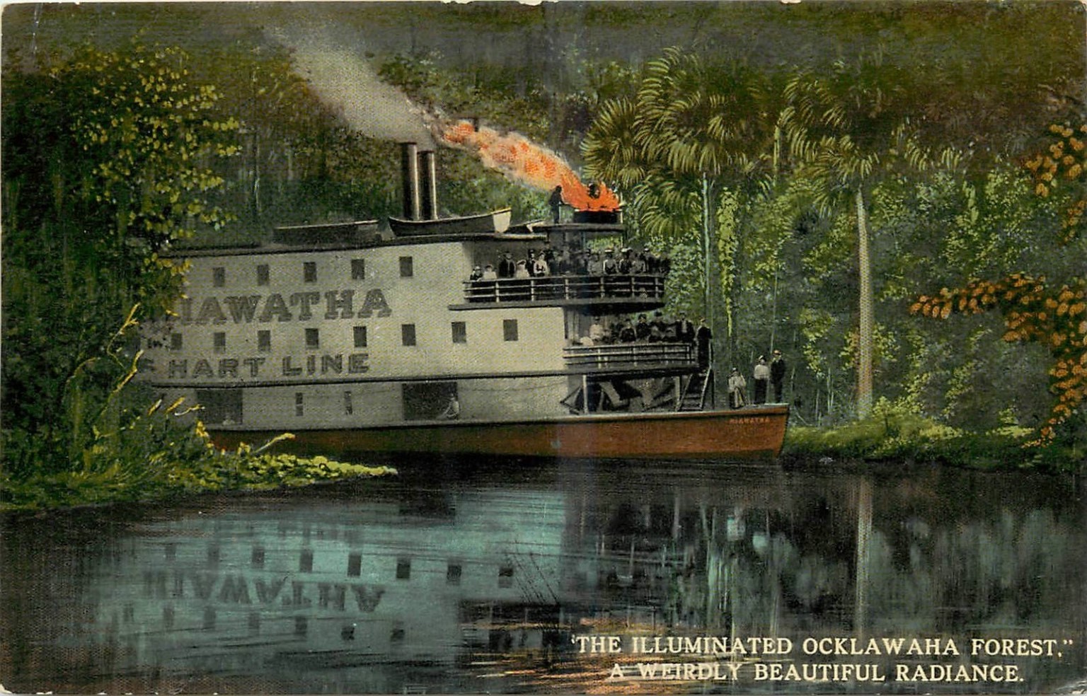 Hiawatha Steamer Ocklawaha River Florida Illuminated Forest Postcard c.1911 Hiawatha Steamer Ocklawaha River Florida Illuminated Forest Postcard c.1911