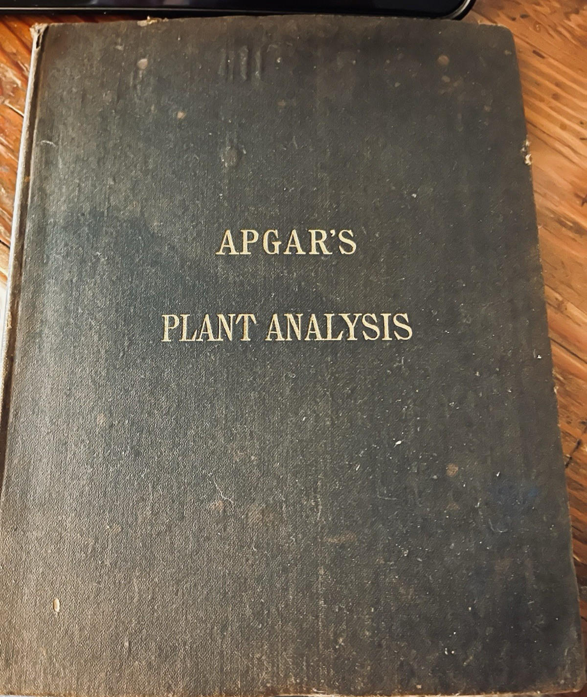 Rare 1874 Antique Apgar\'s Plant Analysis Adapted To Grays Botanies 26 Pgs Book Rare 1874 Antique Apgar\'s Plant Analysis Adapted To Grays Botanies 26 Pgs Book