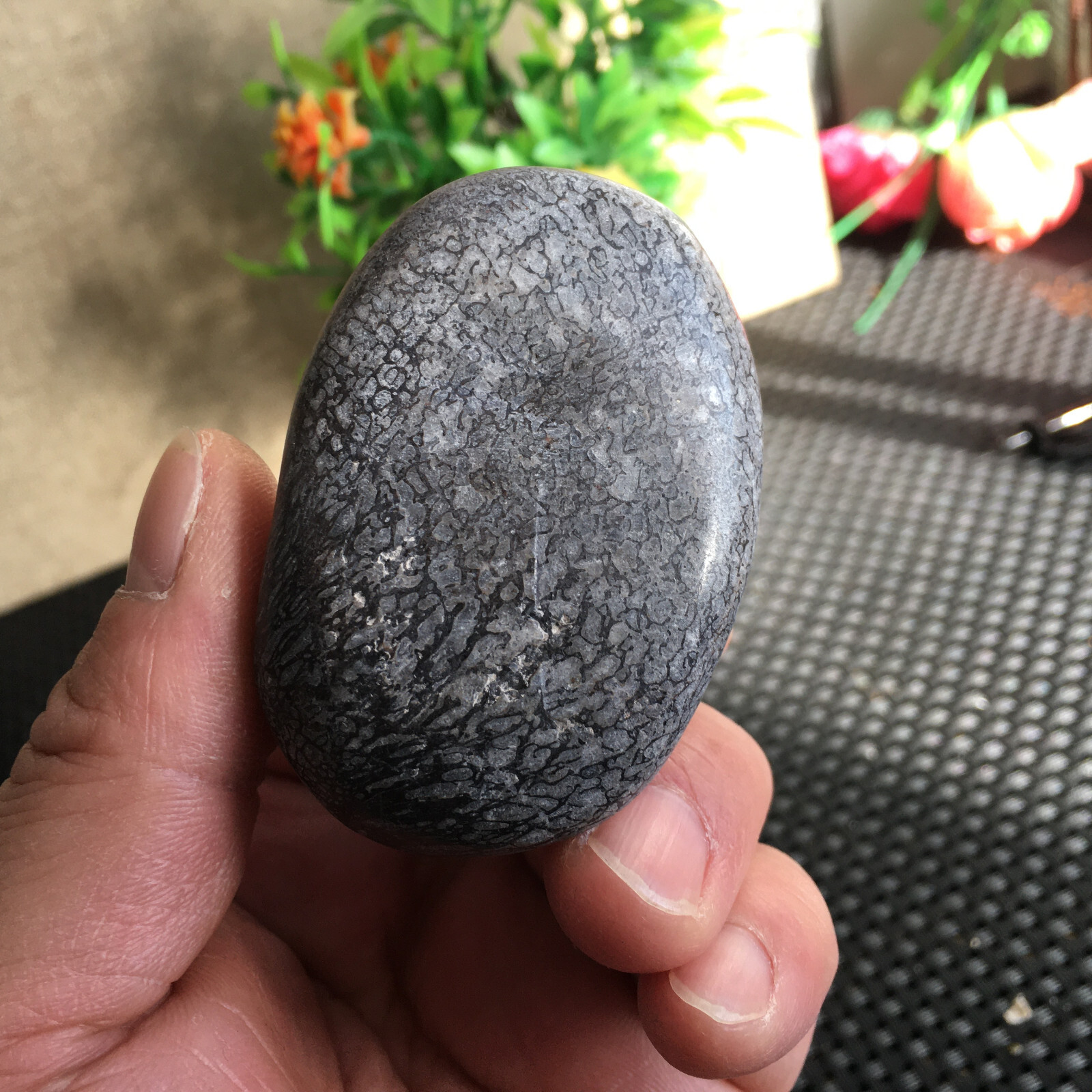 97g Awesome Dinosaur Bone  Crystal  Hand Played Specimen from Madagascar B1781