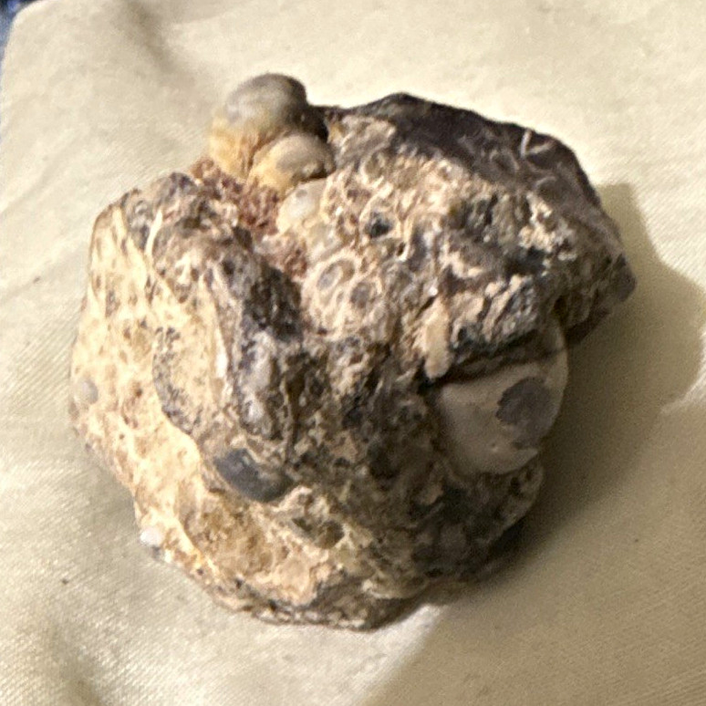 Small Natural Mineral Rock Specimen with Rounded Nodules (Unidentified) Small Natural Mineral Rock Specimen with Rounded Nodules (Unidentified)