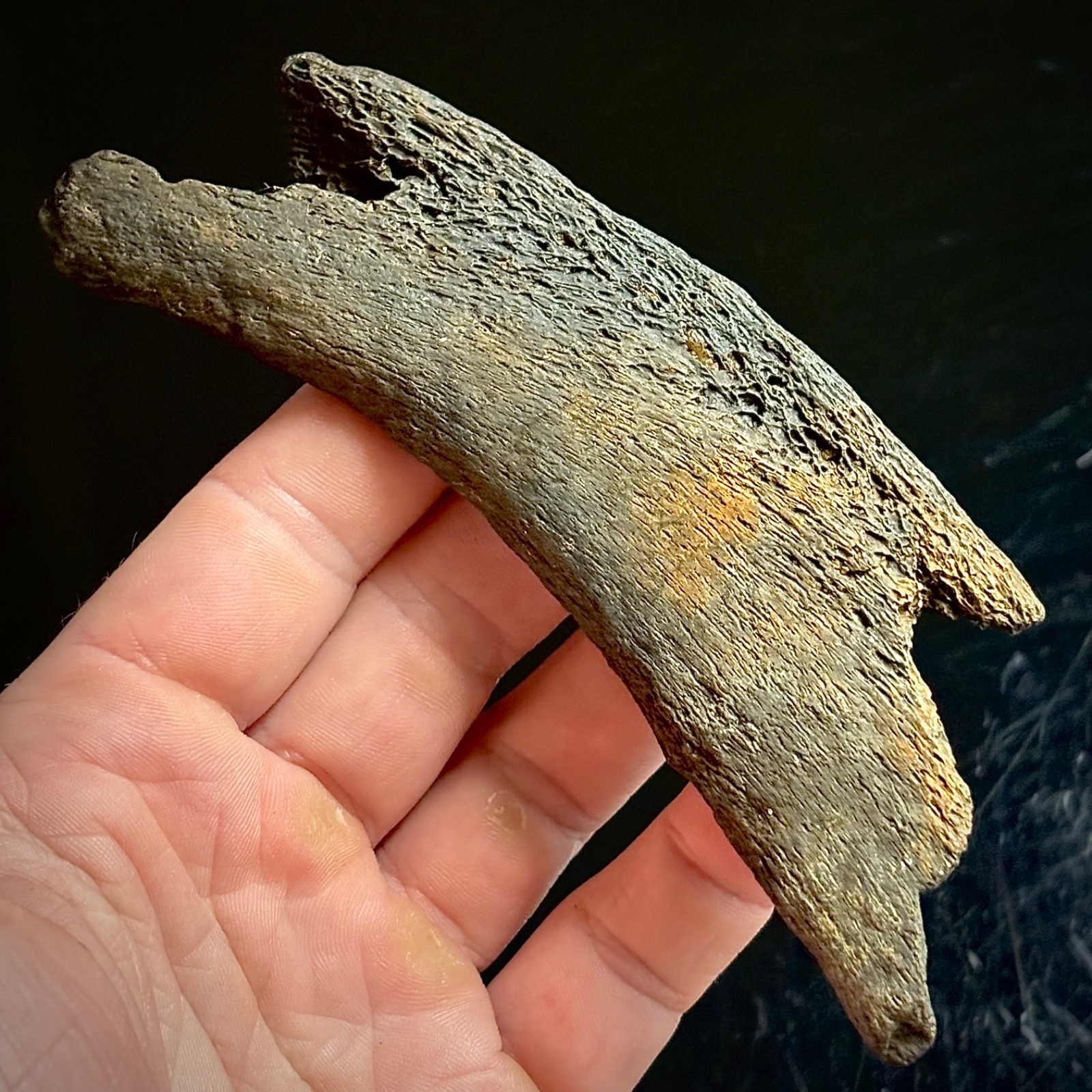 Fossilized Whale Rib Bone 4.96\