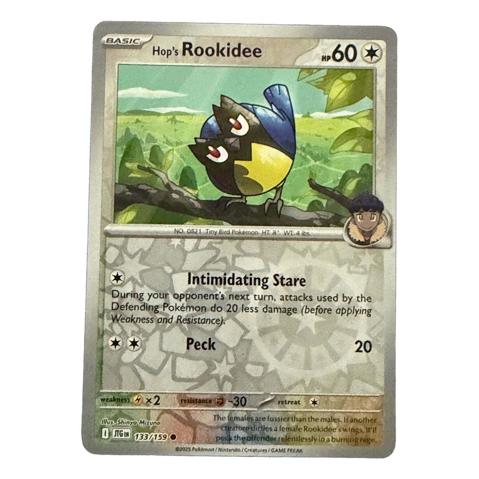Hop\'s Rookidee Reverse Holo Common SV09: Journey Together 133/159 NM