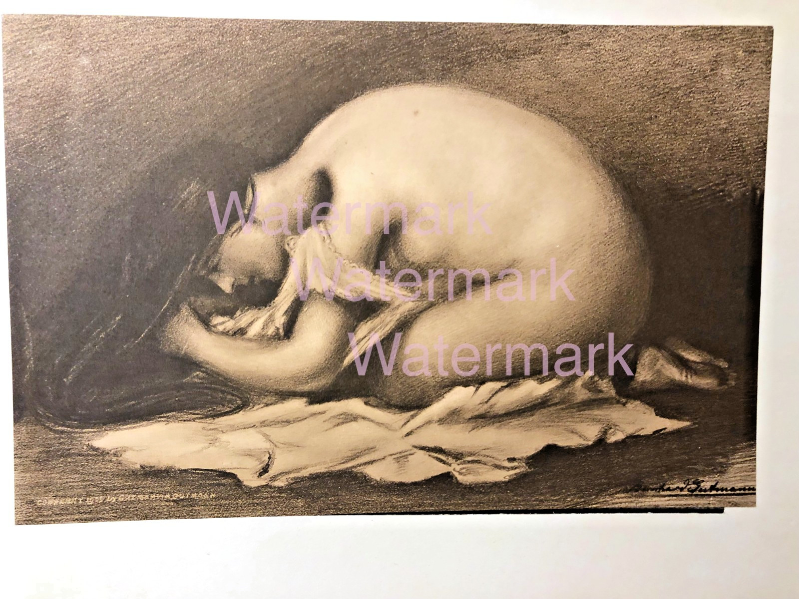 Framed Antique Rare Original Optical Illusion Print - Bernhard Gutmann ca 1905