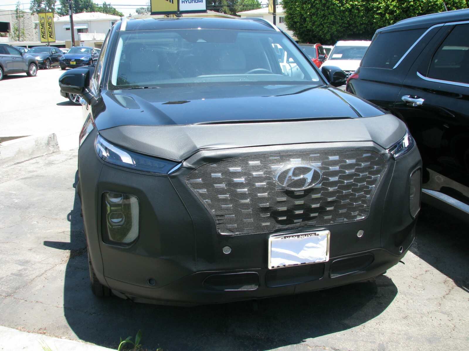 Lebra Front End Mask Cover Bra Fits 2020-2022 Hyundai Palisade 20 21 22