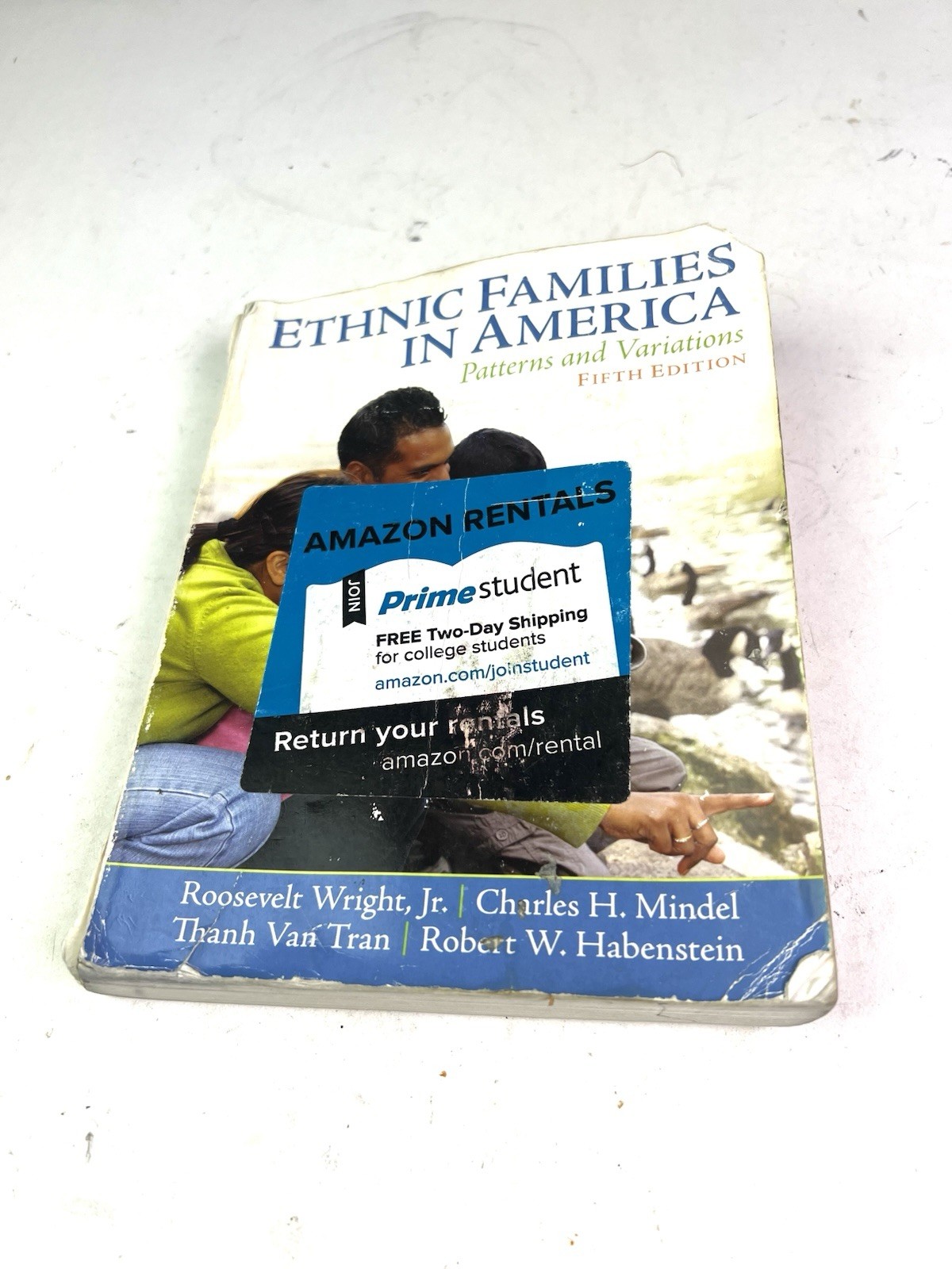Ethnic Families in America: Patterns and Variations (5th Edition), Habenstein, R Ethnic Families in America: Patterns and Variations (5th Edition), Habenstein, R