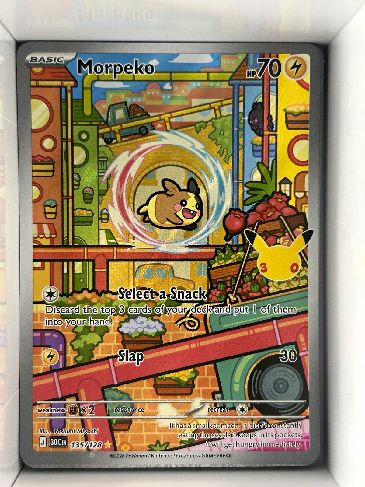 Pokemon TCG 30th Celebration Morpeko 135/128 Illustration Rare NM Pokemon TCG 30th Celebration Morpeko 135/128 Illustration Rare NM