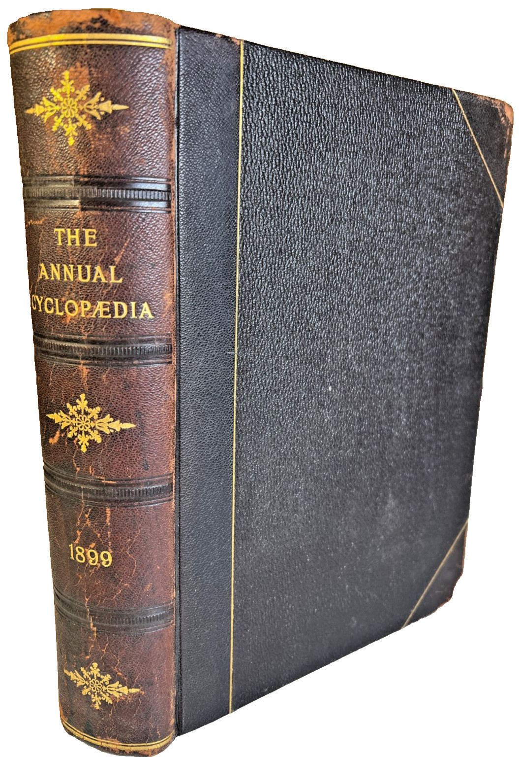 1899 Antique  Annual Cyclopaedia Illustrated Leather Reference Book Hardcover 