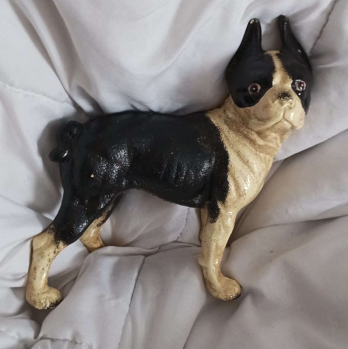 Antique Hubley cast Iron Boston Terrier Doorstop/ Bank original paint Slot 1916