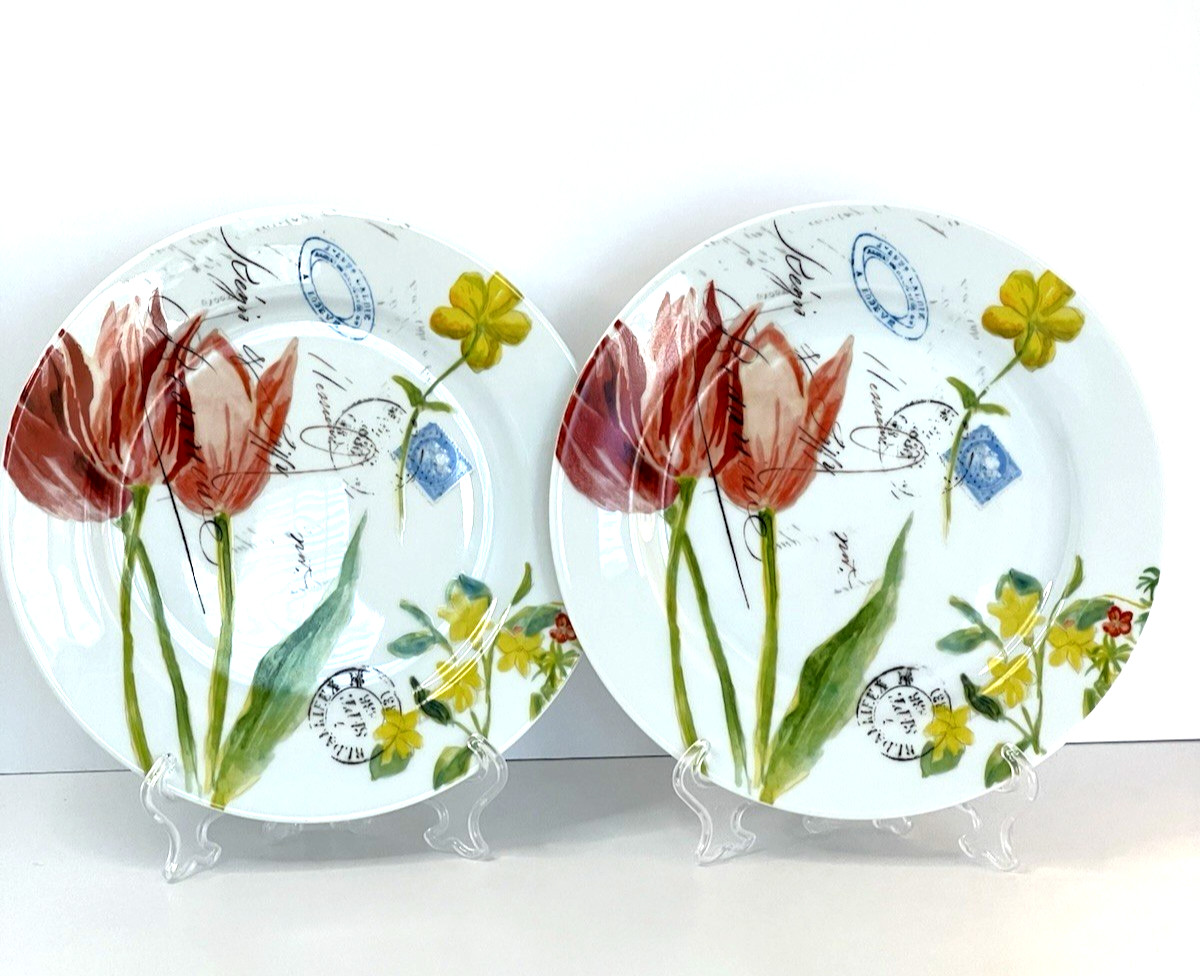 Bernardaud Limoges France Jardin des Fleurs Salad/Dessert Plates (2) RARE HTF Bernardaud Limoges France Jardin des Fleurs Salad/Dessert Plates (2) RARE HTF