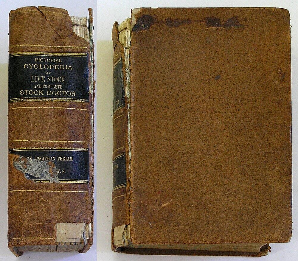 1890 THE AMERICAN FARMER\'S PICTORIAL CYCLOPEDIA OF LIVE STOCK Leather 700 Illust