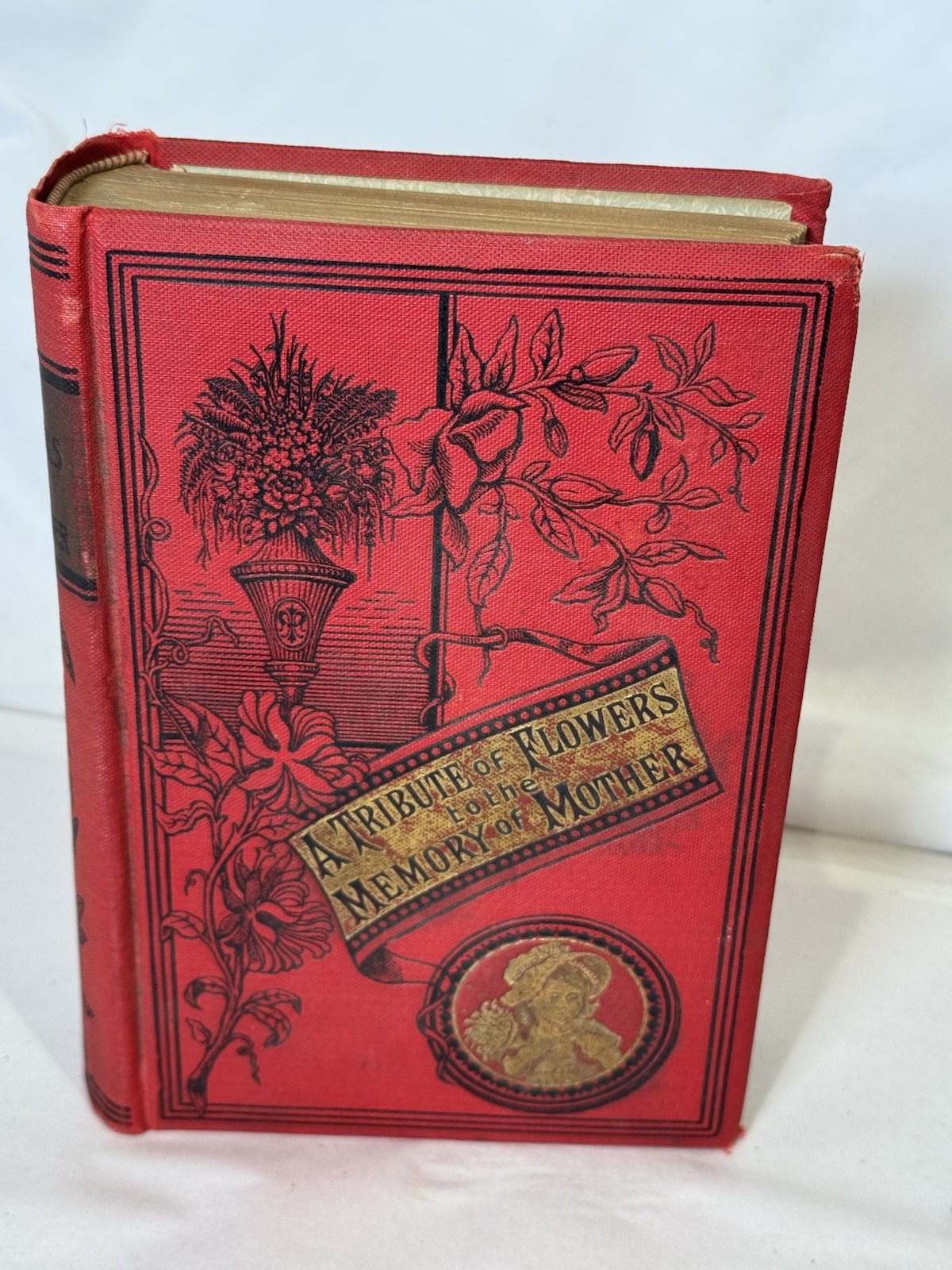 A Tribute of Flowers to the Memory of Mother by John McCoy | 1897 | Antiquarian