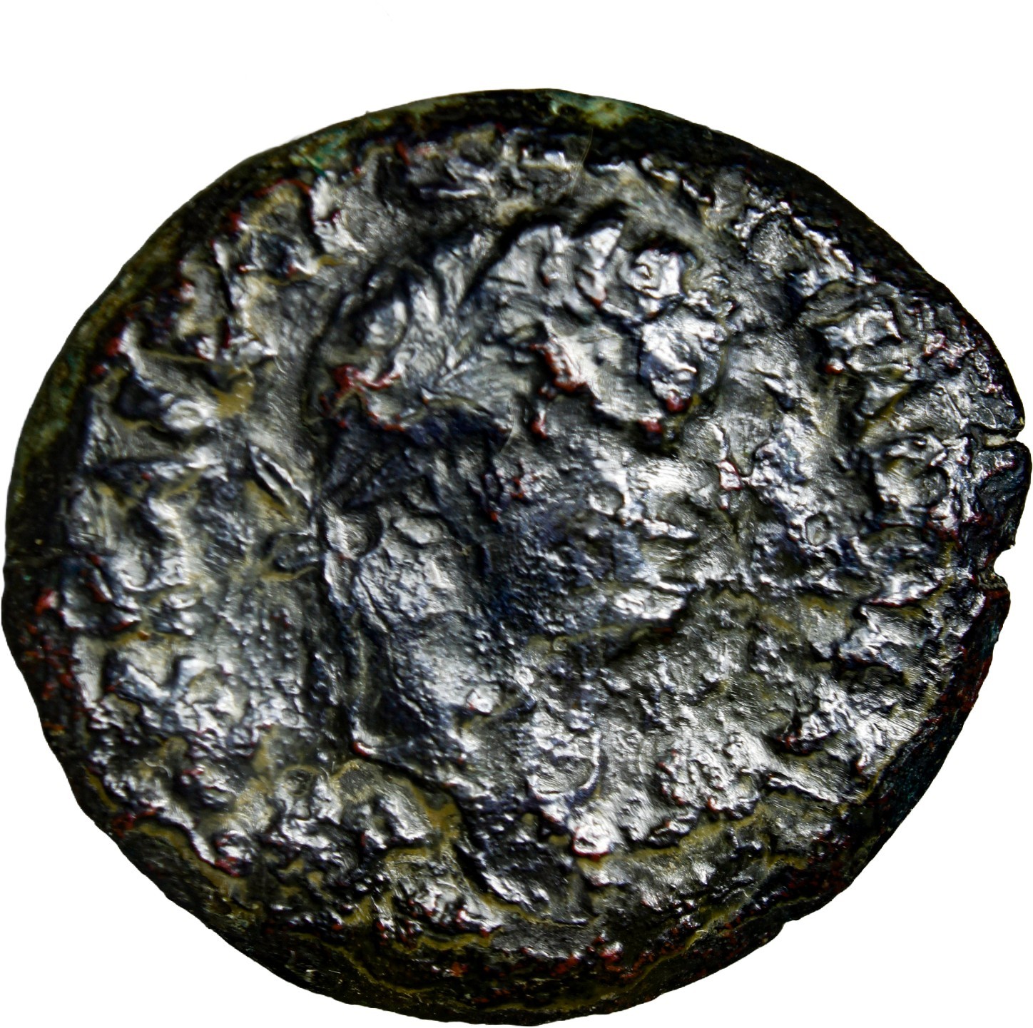 VERY RARE Egypt. Alexandria. Domitian AD 81-96. Diobol. Eagle w/COA