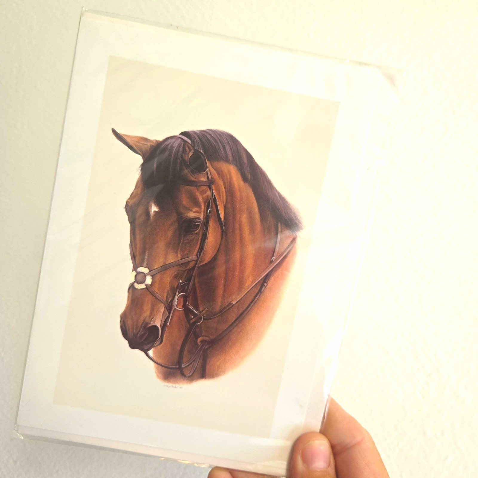 Jocelyn Sandor 1992 Horse Print Matted 6x9 Small Art