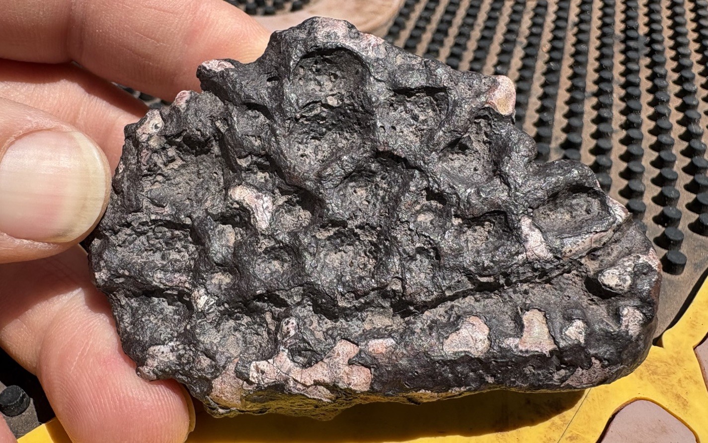 ☘️RR⛏️: Colorful Detailed Triassic Fossil Scute From Northeast AZ. 6.7 Oz. 🦖