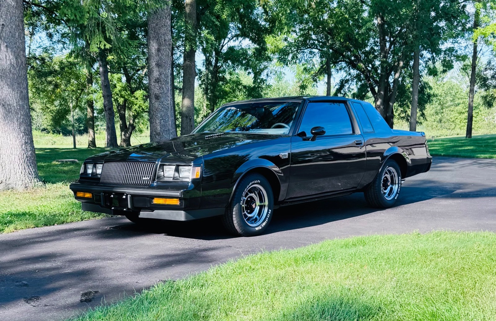 1987 Buick Regal