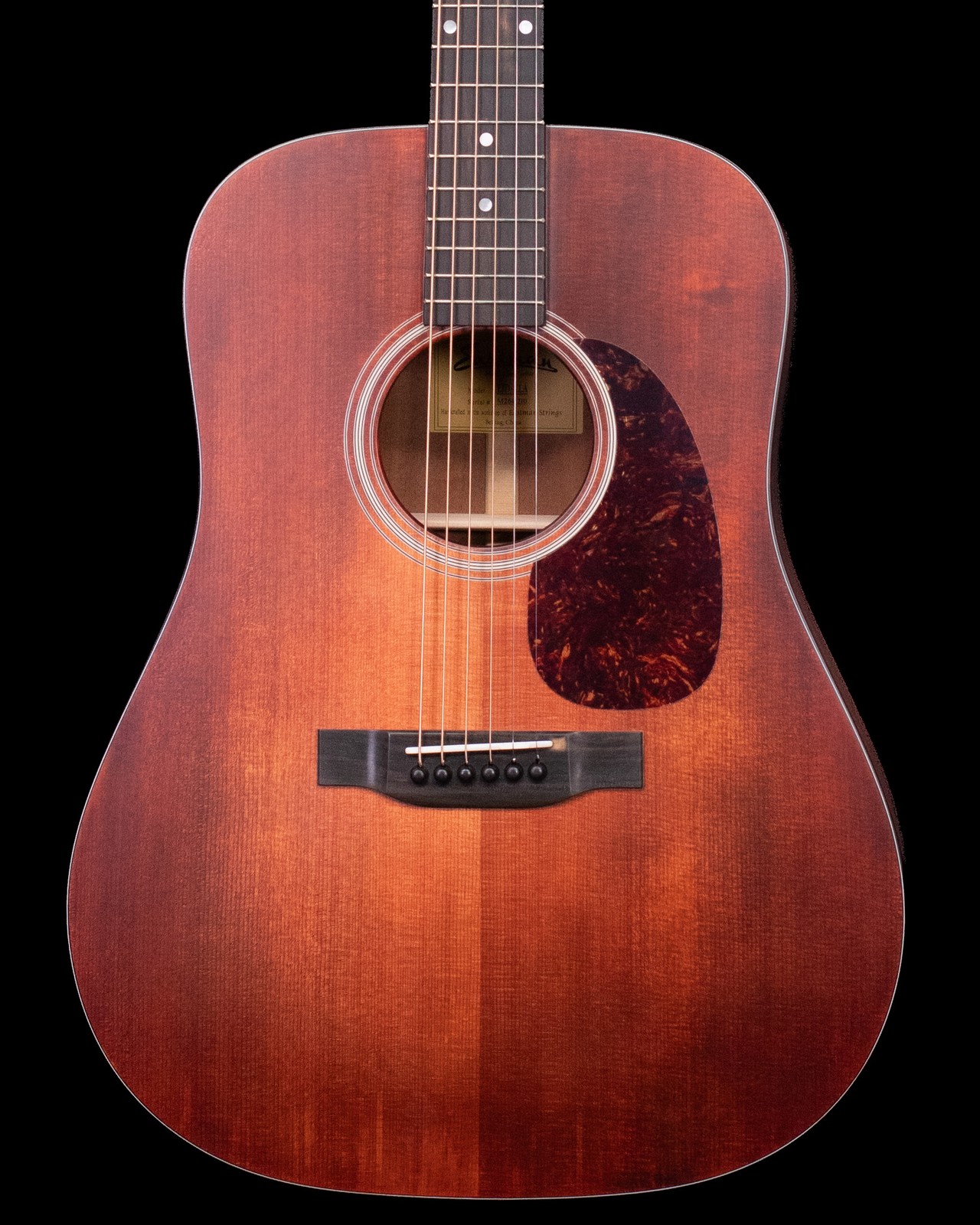 Eastman E1D-CLA Acoustic with Bag, Classic