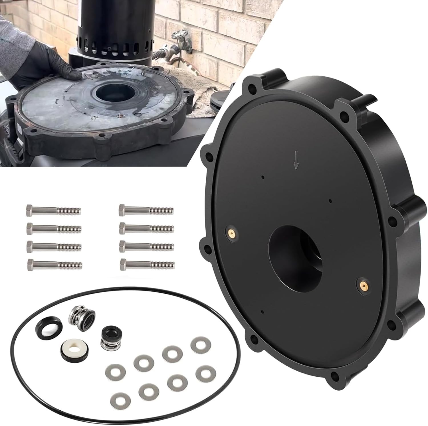 Replace R0445200 Backplate Kits for Zodiac Jandy Pool & Spa Pumps ePump, Stealth