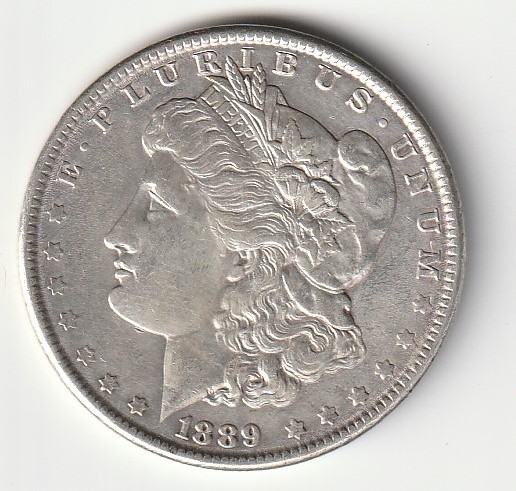1889 P Morgan Silver Dollar  #686