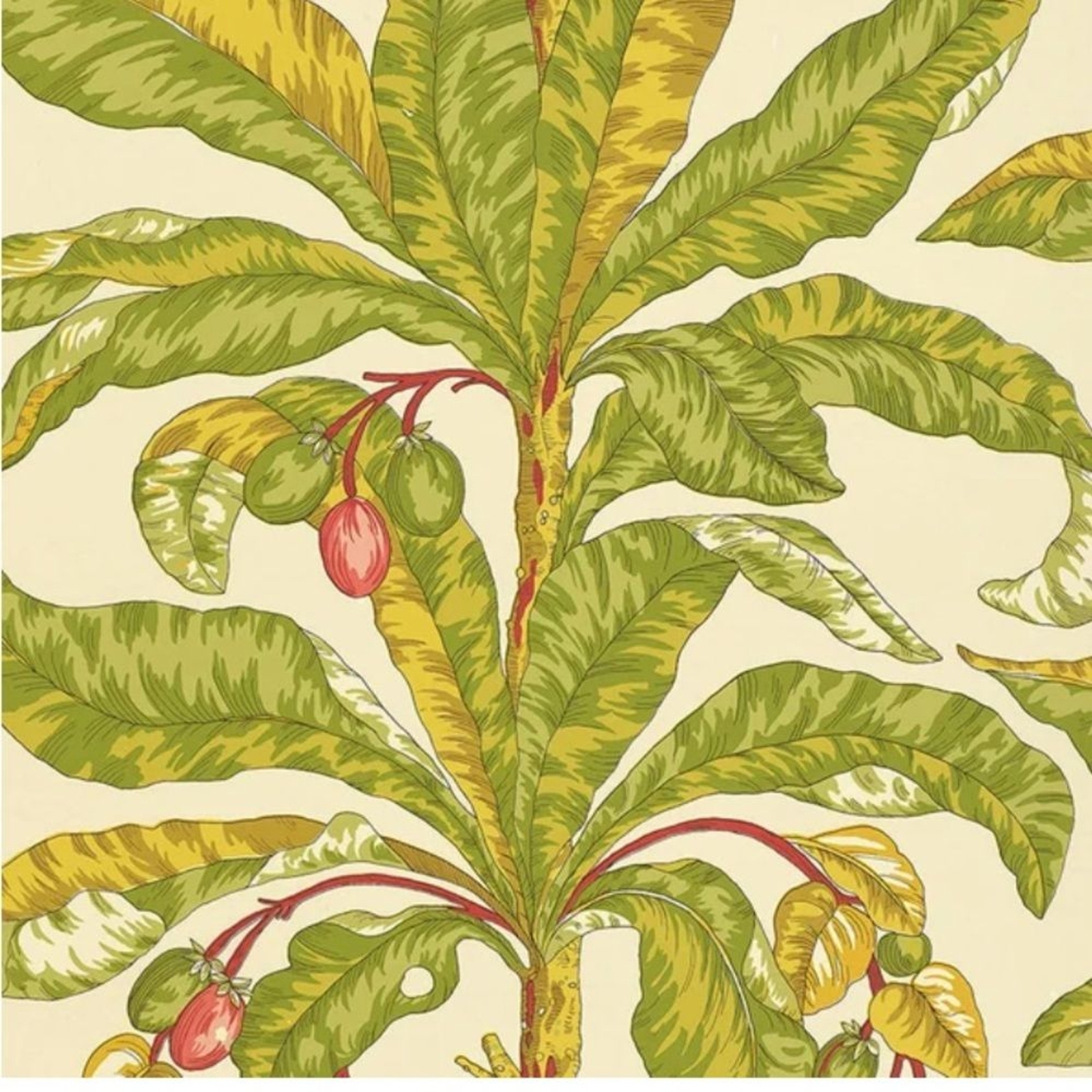 Blair House 5004063 Palm Tropical unpasted Schumacher Wallcovering New