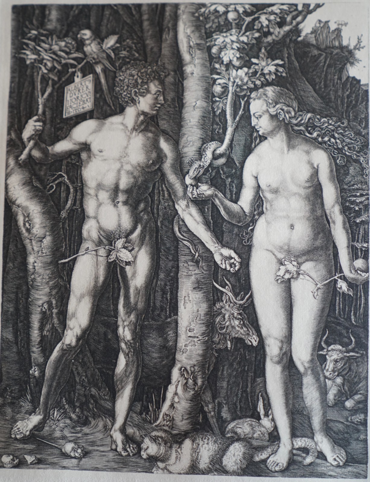 Antique Hand Printed German Renaissance artist Albrecht Dürer Antique Hand Printed German Renaissance artist Albrecht Dürer