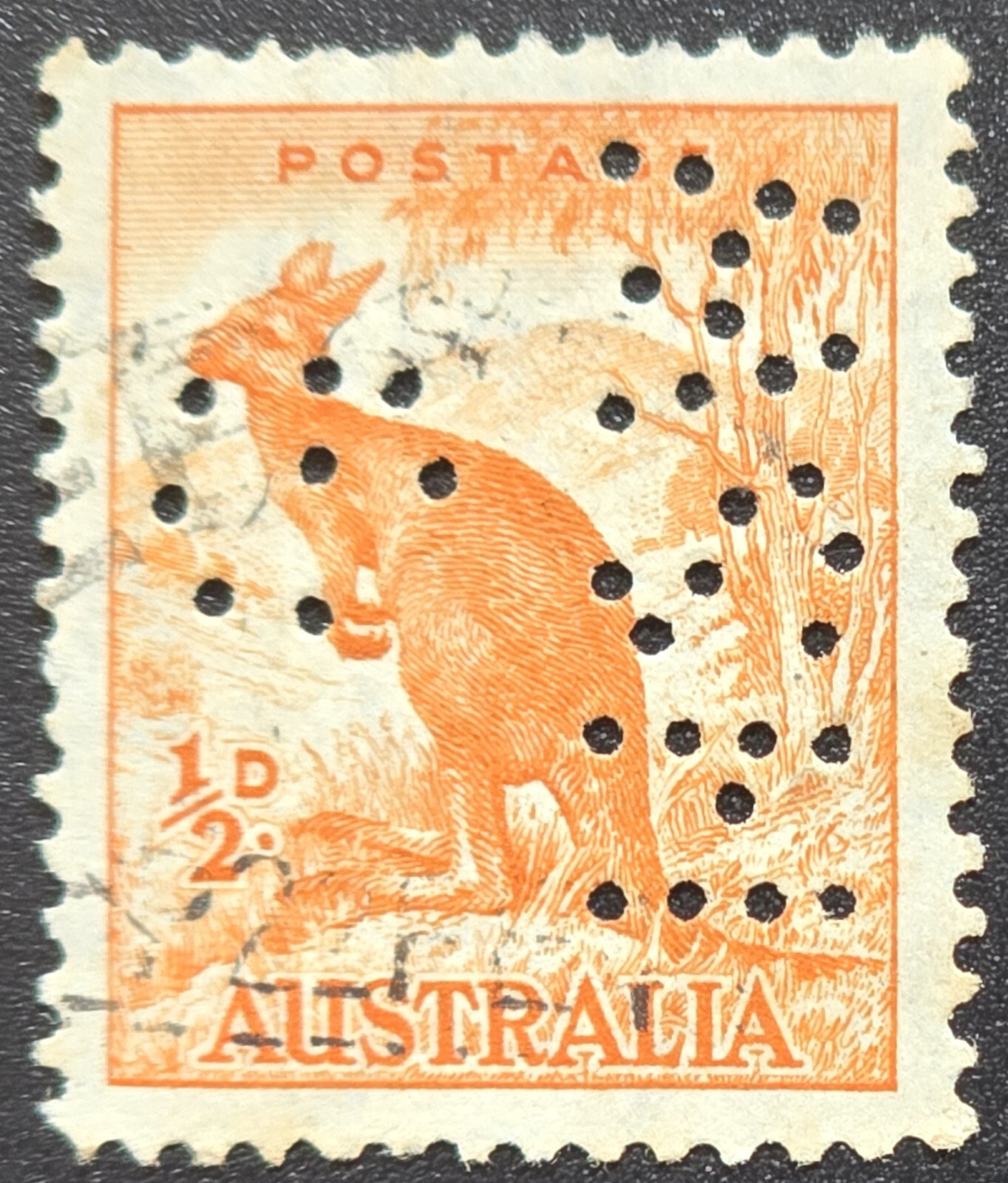 Australia - 1938 Scott #178 - 1/2d Kangaroo - PERFIN - Stamp Australia - 1938 Scott #178 - 1/2d Kangaroo - PERFIN - Stamp
