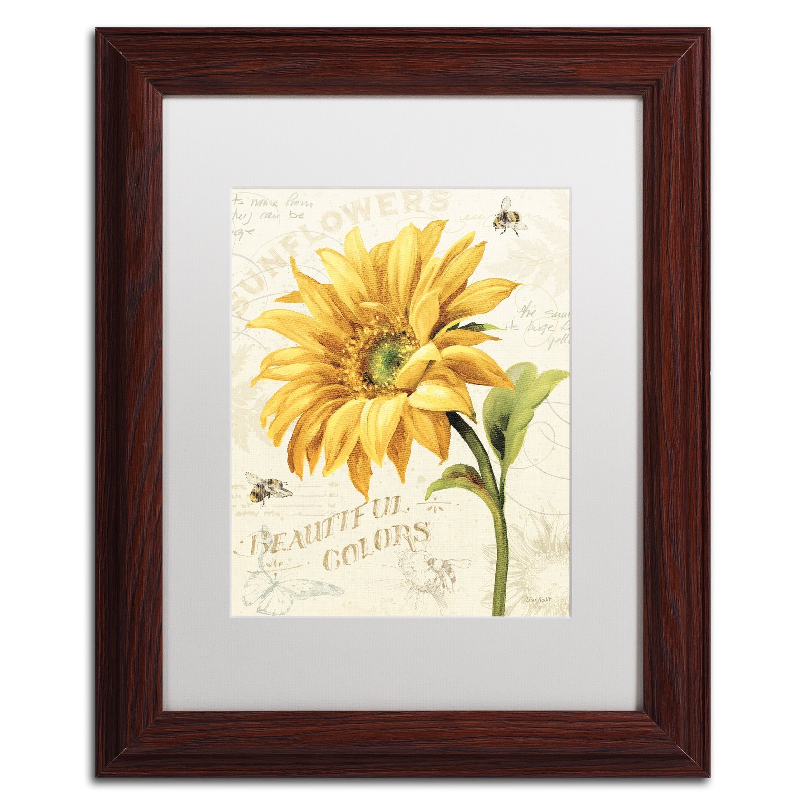 Trademark Fine Art Under The Sun II Lisa Audit White Matted Wood Frame 11x14