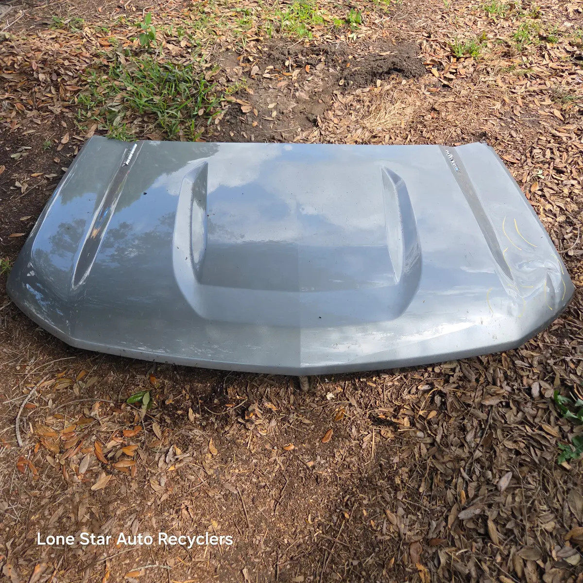 2019-2026 Chevy Silverado 1500 Hood (LOCAL PICKUP, NO SHIP)