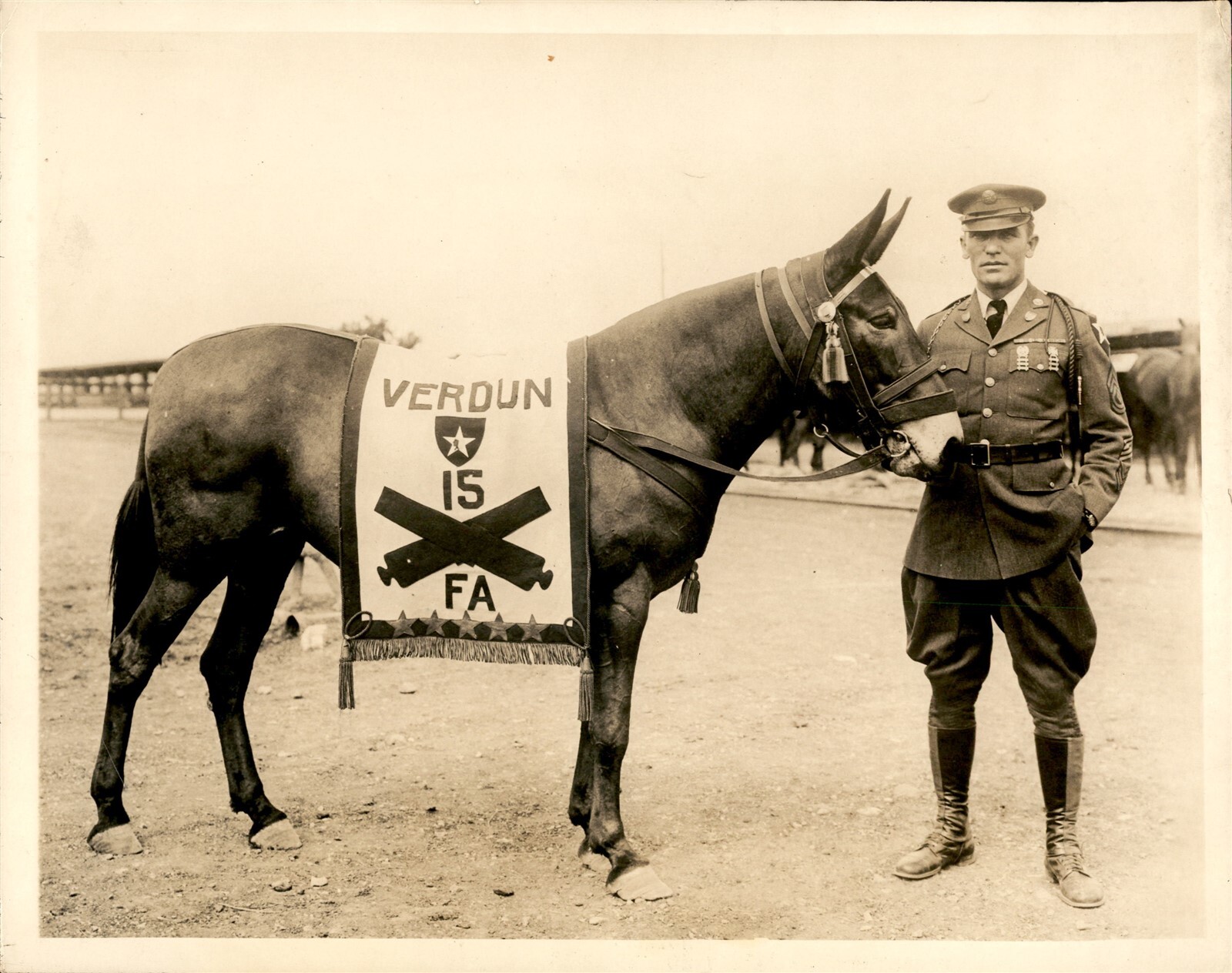 GA252 Approx 1930s Original Underwood Photo A.E.F. MASCOT WAR HORSE \