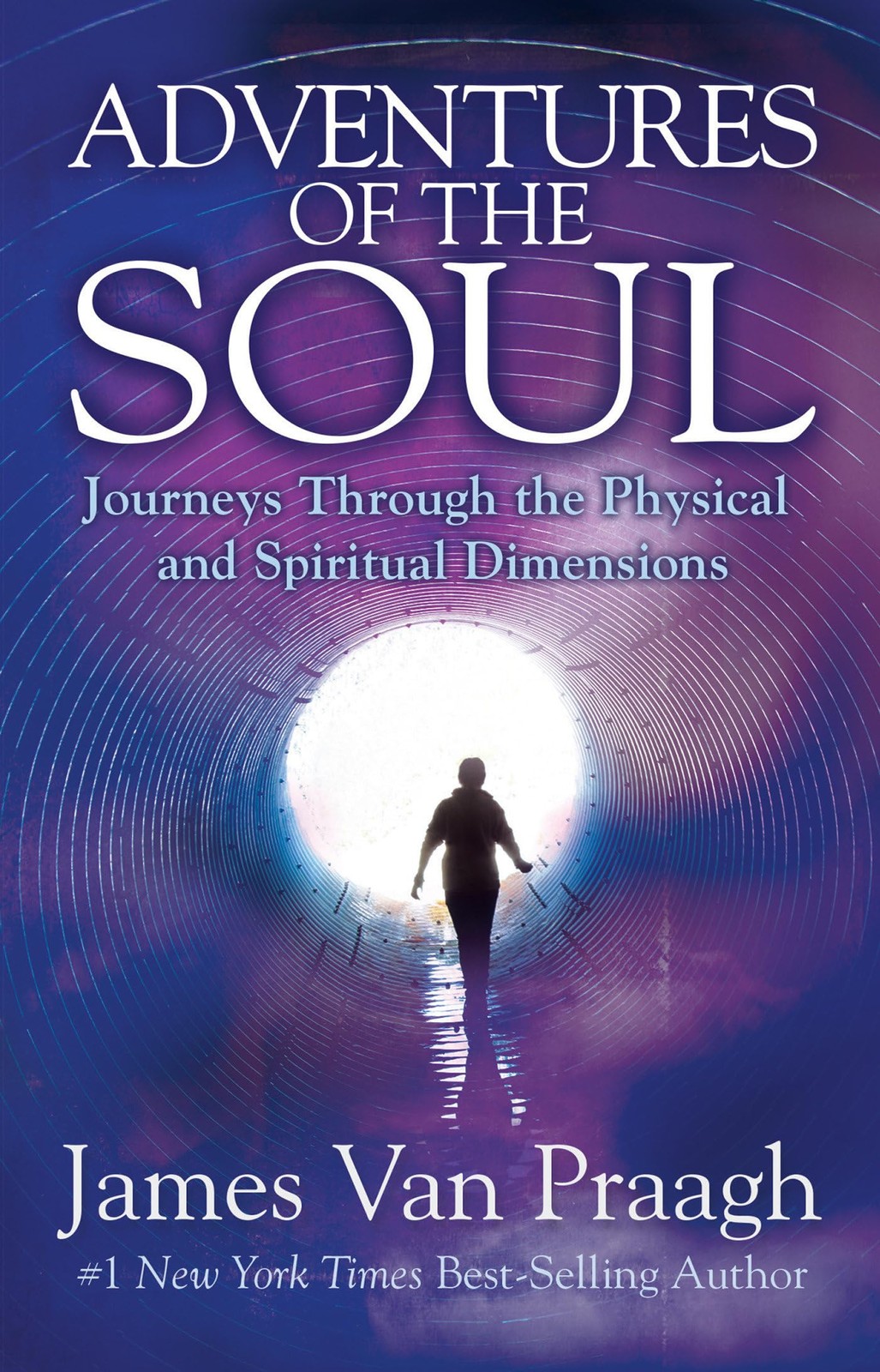 Adventures of the Soul: Journeys Through the Physical and Spiritual Dimensio... Adventures of the Soul: Journeys Through the Physical and Spiritual Dimensio...