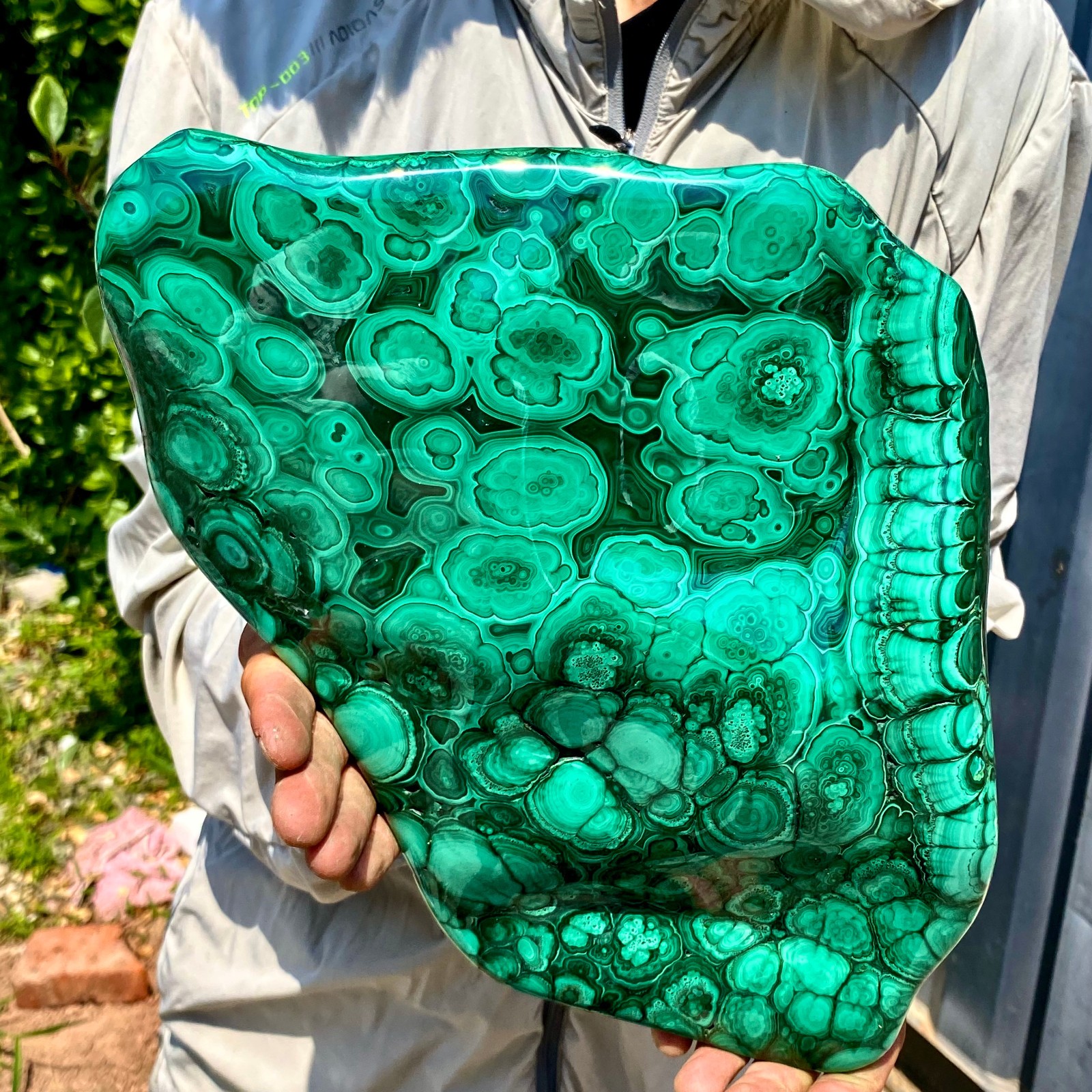 11.90LB Natural glossy Malachite transparent cluster rough mineral sample