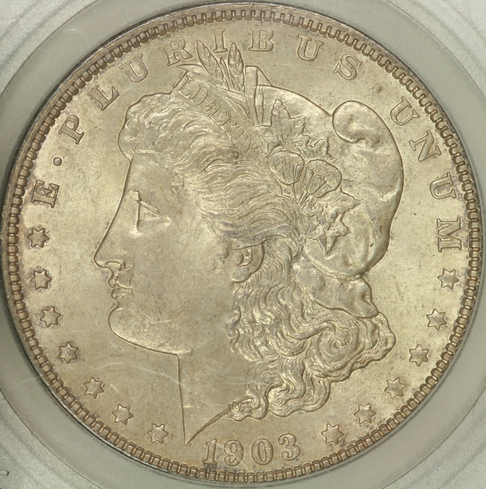 1903 Morgan Dollar SEGS MS64