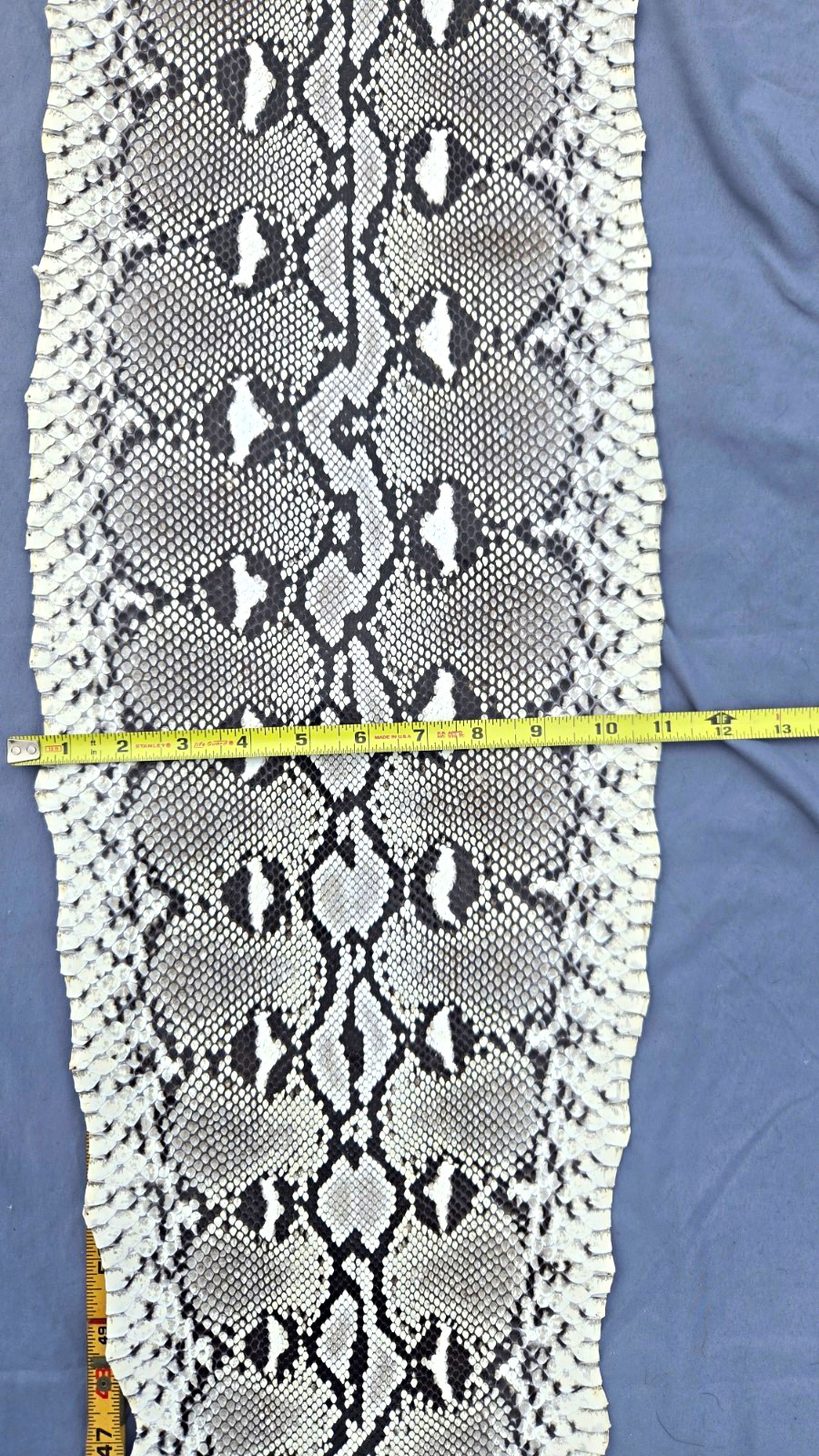 Vintage 2001 Reticulated Python Skin Hide Indonesia Forestry Tag 63