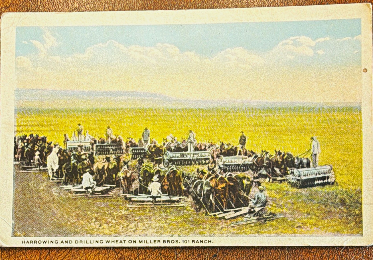 Unposted Vintage Divided Back Postcard, Harrowing & Drilling Wheat 101 Ranch Unposted Vintage Divided Back Postcard, Harrowing & Drilling Wheat 101 Ranch