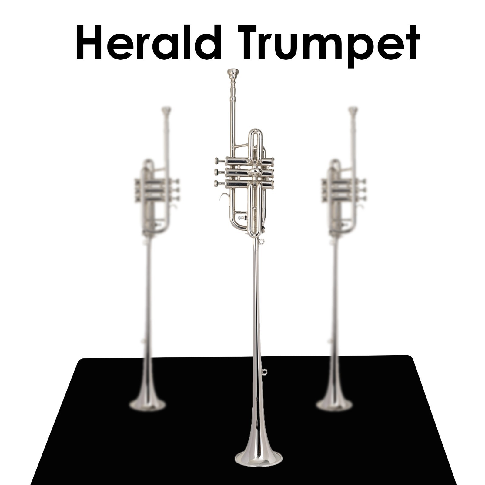 Flag Trumpet BB PITCH Shinning NICKEL With case super HARD CASE HERALD TRUMPET