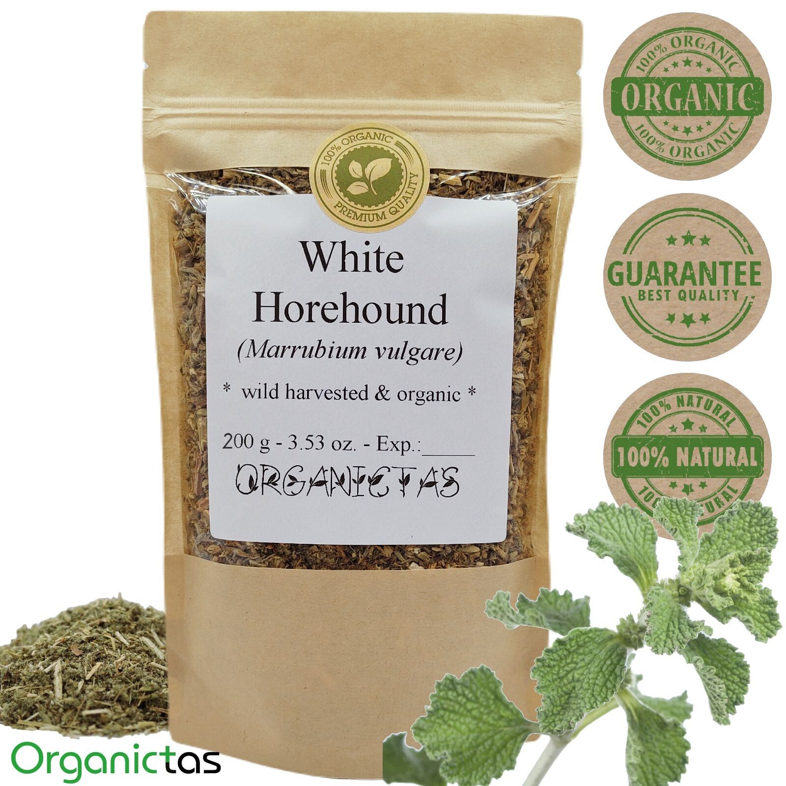 White Horehound Tea - Marrubium vulgare Herb - Natural Health Benefits for Lungs