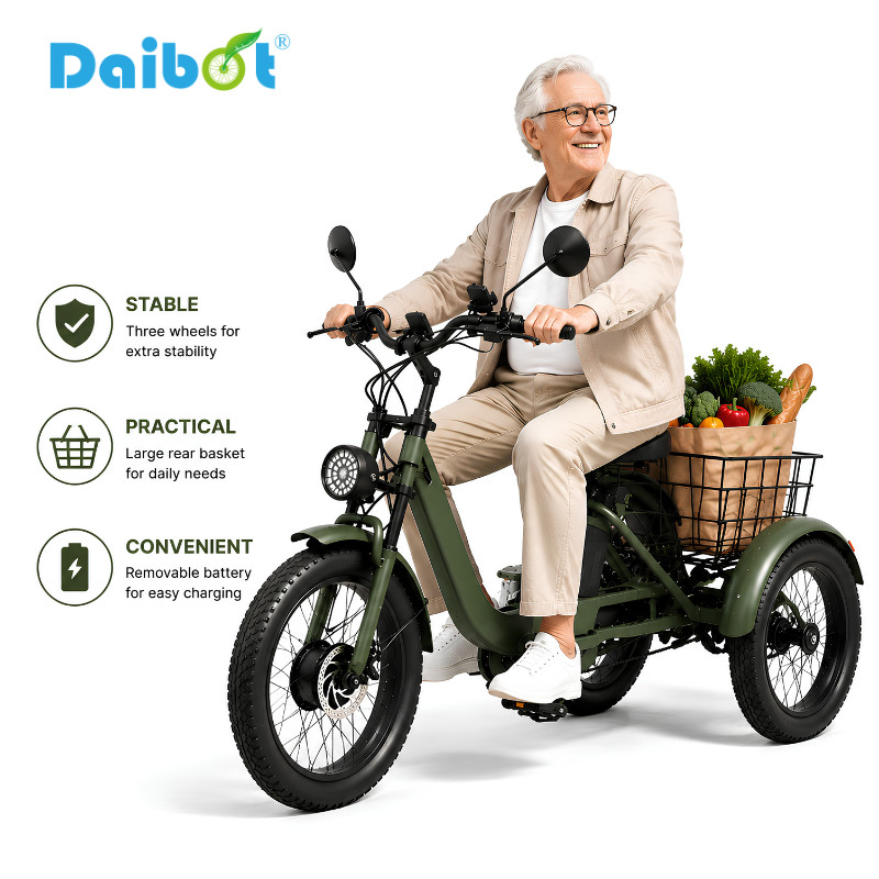 Daibot 750W Electric Trike 24\
