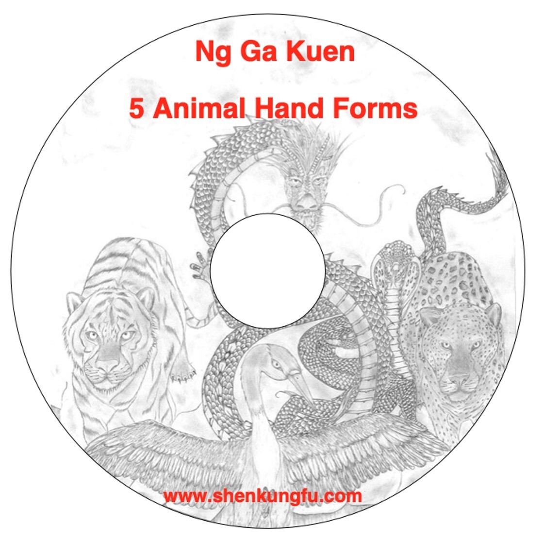 DVD - Ark Wong Five Family Five Animal Ng Ga Kuen  Complete Hand Forms - Rare