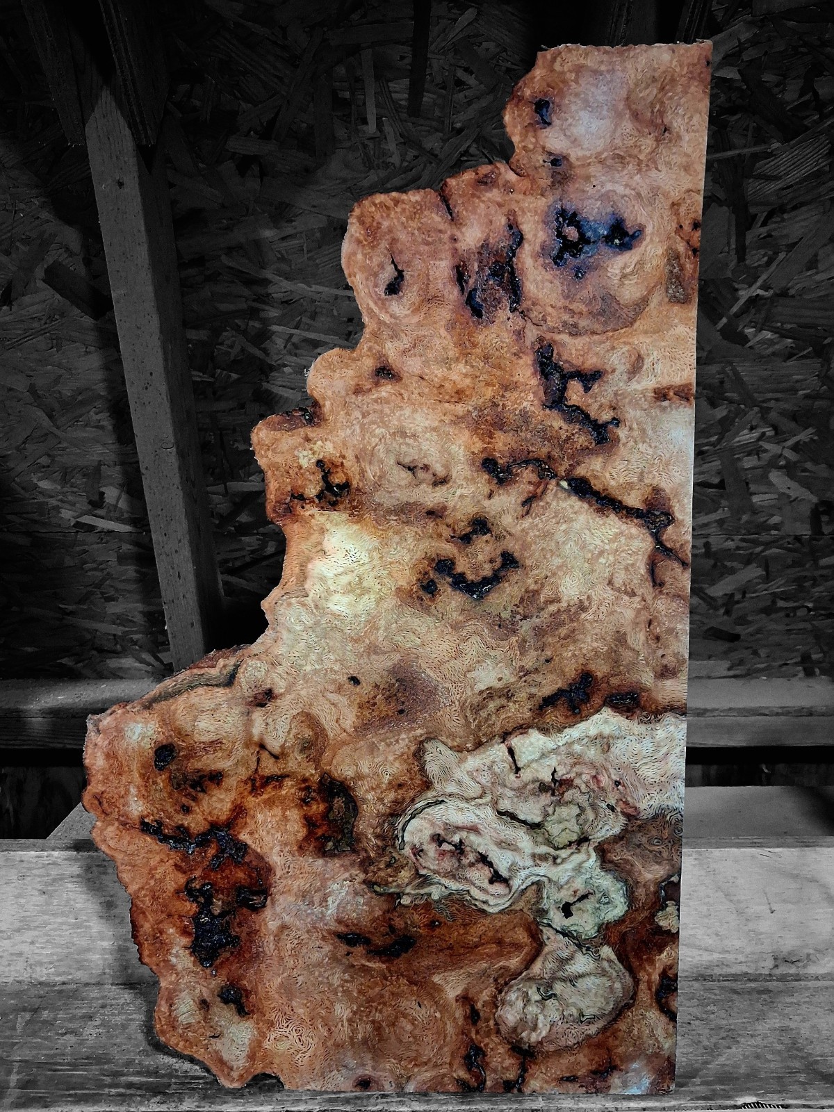 XXL INSANELY CURLY SPAGHETTI OAK BURL WOOD Cap, Craft/Turning wood, EPOXY WOOD 